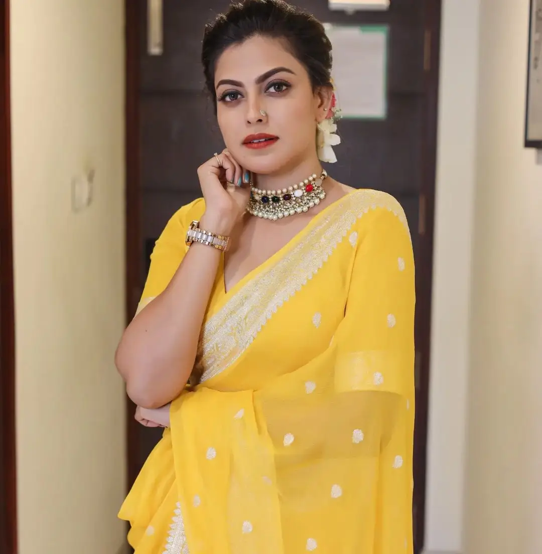 Anusree Nair Wearing Beautiful Earrings Jewellery Yellow Saree Blouse